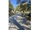 Residential street view with mature trees casting shadows on the road at 1146 Brigantine Dr, Charleston, SC 29412