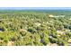 An aerial photograph shows homes interspersed with mature trees in the surrounding area at 317 Lankford St, Moncks Corner, SC 29461