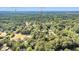 Aerial view of the property showcasing its location amidst lush greenery and neighborhood amenities at 317 Lankford St, Moncks Corner, SC 29461