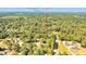 A lush, green aerial view shows the home nestled in a densely wooded area, near Moncks Corner at 317 Lankford St at 317 Lankford St, Moncks Corner, SC 29461