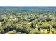 Overhead of tree-lined neighborhood showing the community's landscape and surrounding area at 317 Lankford St, Moncks Corner, SC 29461