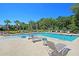 Community pool with plenty of lounge chairs and umbrellas, surrounded by lush landscaping and palm trees for a resort-like feel at 3818 Tupelo Church Ln, Mount Pleasant, SC 29429