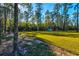 Expansive backyard offering plenty of space for outdoor activities and enjoying nature at 418 Myers Mayo Rd, Ridgeville, SC 29472