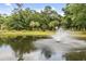 Scenic pond with a fountain surrounded by lush greenery and trees creating a tranquil setting at 7857 Montview Rd, North Charleston, SC 29418