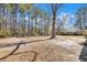 Large backyard with mature trees and wooded area at 106 Ranworth Ln, Summerville, SC 29485