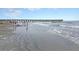 Scenic beach view with a pier stretching into the ocean under a bright sky, people enjoying the surf at 129 Sparrow Dr, Isle of Palms, SC 29451