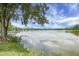 Serene lake view with a wooden dock surrounded by lush greenery, offering a tranquil and picturesque scene at 1721 Pimlico Blvd, Moncks Corner, SC 29461