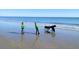 Dogs playing with children on the beach, enjoying fetch and the freedom of the seaside at 280 Driftwood Ln, Edisto Beach, SC 29438