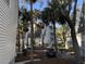 Charming townhome complex with mature palm trees and well-maintained landscaping at 280 Driftwood Ln, Edisto Beach, SC 29438