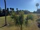 View of a lush lawn with clear blue skies and an outdoor landscape, perfect for outdoor activities at 280 Driftwood Ln, Edisto Beach, SC 29438