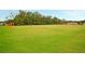 Expansive green field perfect for recreational activities with soccer goals on either end at 331 Weston Hall Dr, Summerville, SC 29483