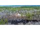 Aerial view of a secluded home on wooded acreage with waterfront views at 5585 Wire Road, Branchville, SC 29432