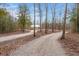 Gravel driveway splitting into two paths surrounded by bare trees, leading to a quaint home at 5585 Wire Road, Branchville, SC 29432