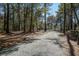 A long, winding driveway leads to this charming house, surrounded by towering trees and natural beauty at 7527 Ladys Secret Ln, Awendaw, SC 29429