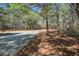 Gravel driveway through a canopy of trees providing a serene and private entrance to the property at 7527 Ladys Secret Ln, Awendaw, SC 29429
