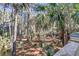 Backyard filled with lush trees, foliage, and mulch at 87 Dungannon Hall, Kiawah Island, SC 29455
