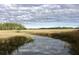 Scenic view of a marshland with a body of water reflecting the cloudy sky, surrounded by tall grasses and trees at 914 Tupelo Bay Dr, Mount Pleasant, SC 29464