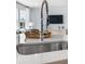 Close-up of a modern kitchen sink featuring a stylish faucet and elegant countertop at 1014 Swamp Rose Run, Summerville, SC 29485