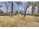 Expansive backyard featuring mature trees and a play area, ideal for outdoor activities and relaxation at 108 Gambels Ln, Summerville, SC 29485