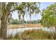 Scenic water view of the marsh with Spanish moss hanging from mature trees at 1174 Village Creek Ln # 3, Mount Pleasant, SC 29464