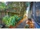 Lush backyard featuring a stone pathway, mature trees, verdant shrubs, and a classic wood fence at 12 Poplar St, Charleston, SC 29403