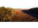 Sweeping view of the open marshland area surrounded by trees at 1468 Alligator Creek Ct, Awendaw, SC 29429