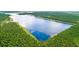 Scenic aerial view of the lake surrounded by dense forests, showcasing vast natural beauty and tranquility at 207 Calm Water Way, Summerville, SC 29486