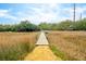 Wooden walkway pier leading to a marsh landscape and blue skies at 231 Bayview Dr, Mount Pleasant, SC 29464