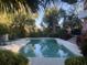 Inviting backyard pool surrounded by mature trees and greenery, complete with lounge chairs at 24 Commons Ct, Isle of Palms, SC 29451