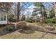 Large grassy backyard with mature trees and garden beds at 3334 Merion Pl, Mount Pleasant, SC 29466