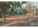 Community playground equipment including slides and climbing apparatus, set in a mulch-covered play area at 3920 Hanoverian Dr, Mount Pleasant, SC 29429