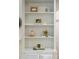 Built-in shelves, offering ample space for decor and storage at 3920 Hanoverian Dr, Mount Pleasant, SC 29429