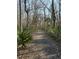 Scenic natural walking trail featuring a tranquil atmosphere and verdant foliage at 3920 Hanoverian Dr, Mount Pleasant, SC 29429