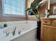 Close up on a soaking tub in a bright bathroom, next to a large potted plant at 9656 Pebble Creek Blvd, Summerville, SC 29485