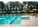 Community pool featuring clear blue water, lounge chairs with bright yellow umbrellas, and stainless steel railings at 972 Carnes Crossing Blvd, Summerville, SC 29486