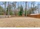 Spacious backyard with a wooden fence, grass and natural setting, providing privacy and outdoor enjoyment at 103 Cardinal Flower Ct, Moncks Corner, SC 29461