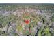 Aerial view of the property nestled amongst lush trees, highlighting the expansive grounds at 108 Tea Farm Rd, Summerville, SC 29483