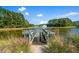 Charming waterfront view from the wooden dock over the community pond with fountain and nature surround at 1208 Red Buckeye Ct, Moncks Corner, SC 29461