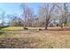 Large yard features dry lawn and tree coverage at 133 Stephanie Cir, Summerville, SC 29483