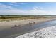High angle view of people enjoying horseback riding along the shoreline with water on either side at 2784 Hidden Oak Dr, Seabrook Island, SC 29455