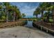 Concrete boat ramp leading to waterway, framed by lush palm trees and green foliage at 2942 Clearwater Dr, Mount Pleasant, SC 29466