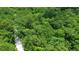 Scenic aerial view of lush green trees. Road running through center of image at 4 Preserve Rd, Johns Island, SC 29455