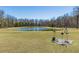 Expansive backyard with a scenic pond and lush greenery, creating a serene outdoor space at 409 Spruce Ivy St, Moncks Corner, SC 29461