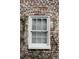 Close-up of a brick wall exterior with a window and climbing vines at 42 1/2 Hasell St, Charleston, SC 29401