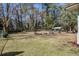 Expansive backyard with established trees, offering ample space for outdoor recreation and relaxation at 425 Ravenwood Rd, Walterboro, SC 29488