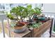 Cozy balcony adorned with lush greenery, featuring potted plants and a rustic wooden display at 530 Amalie Farms Dr, Charleston, SC 29492