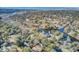 Breathtaking aerial view of the lush neighborhood nestled among winding waterways at 1048 Wharf Indigo Pl, Mount Pleasant, SC 29464