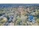 Stunning aerial view of a home surrounded by lush trees and a tranquil body of water at 1048 Wharf Indigo Pl, Mount Pleasant, SC 29464