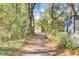 Tree-lined walking path with lush greenery leading to the main road at 1048 Wharf Indigo Pl, Mount Pleasant, SC 29464