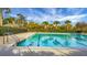 Community pool with palm trees at 1137 Moss Grove Dr Dr, Moncks Corner, SC 29461